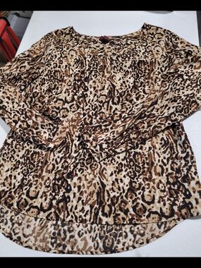 Merona Leopard-Print Long Sleeve Top in Brown and Beige